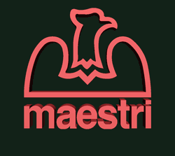 logo_maestri